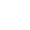 Government Icon